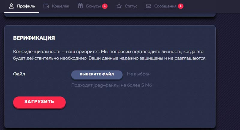 Прохождение верификации